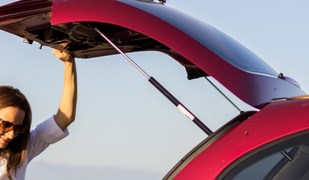 Amortiguadores de portón